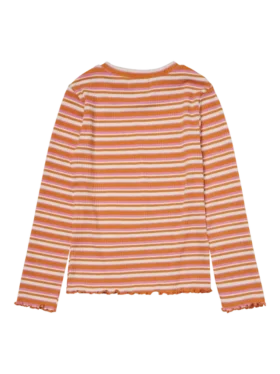 Vmlu Top